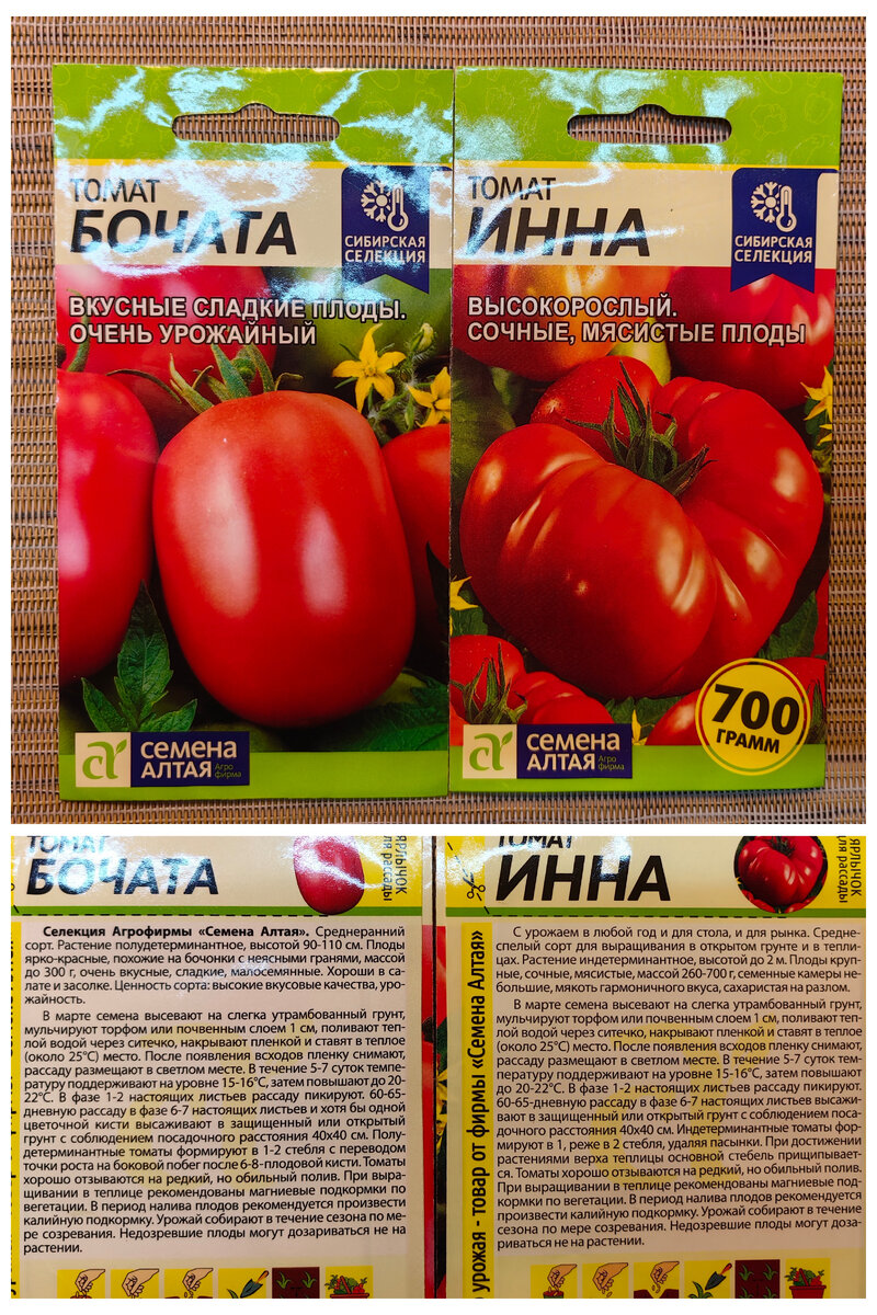 рассада помидор черри. высадка помидор в открытый грунт сибирь. высаживание помидоров в теплице. когда высаживать помидоры в 2024. высадка помидор в открытый грунт.