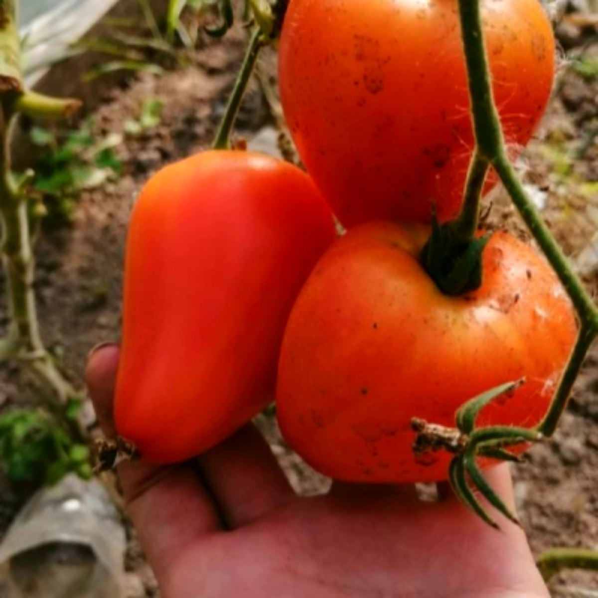 фото из открытых источников и-нета