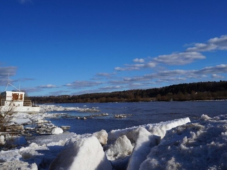     Фото: архив "МК в Калуге"