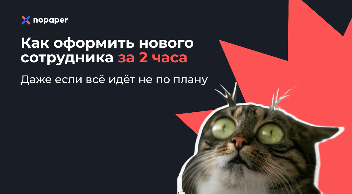 Оформить за два часа: как ускорить приём новых сотрудников в 8 раз |  Nopaper | Дзен