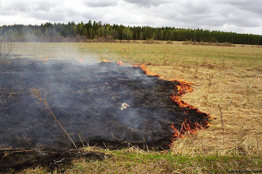     Сельхозпалы — это опасно!