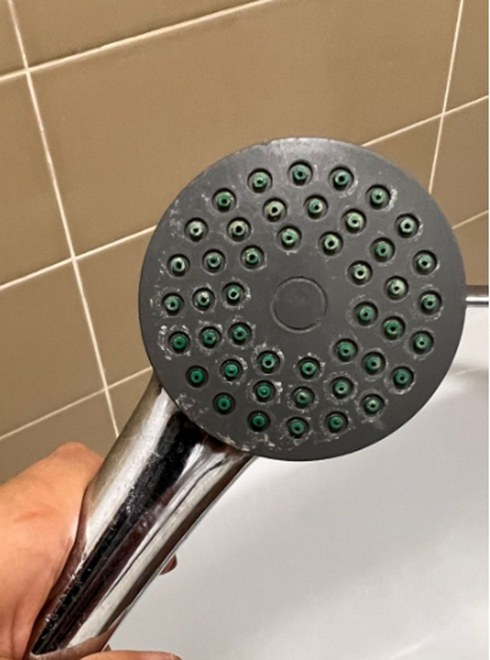 Известковый налет на душевой лейке