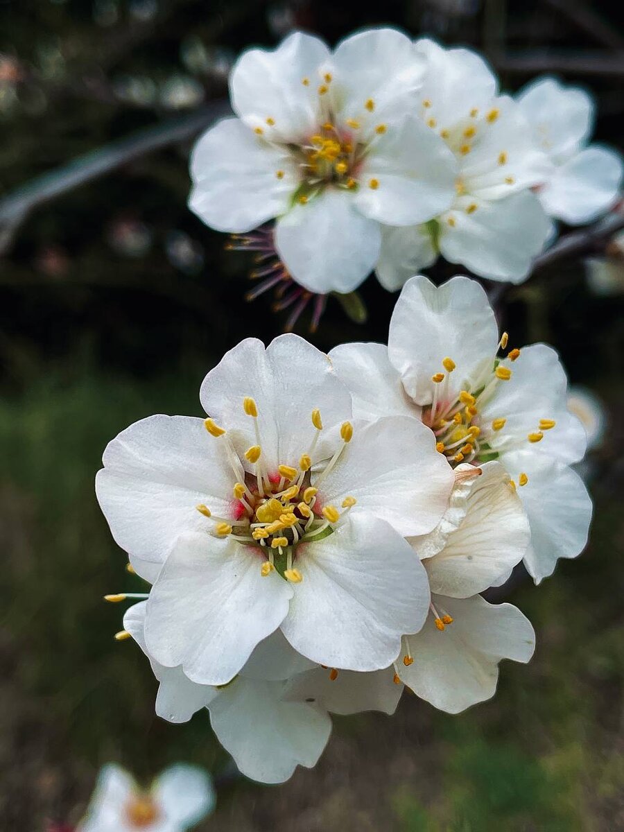 Фото: Крым глазами местных