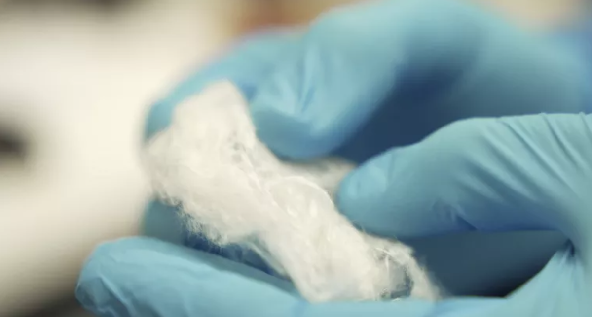 Изображение: источника.