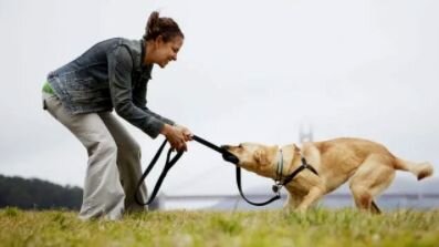 Развлекуха...