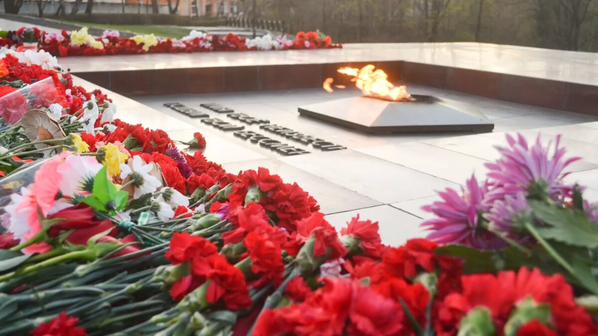     В МЦУ Краснодара рассказали, что полиция проведет проверку действий женщины, которая позволила себе осквернить мемориал.