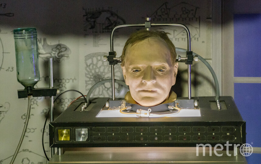    Голова профессора Доуэля на "Ленфильме".Алена Бобрович