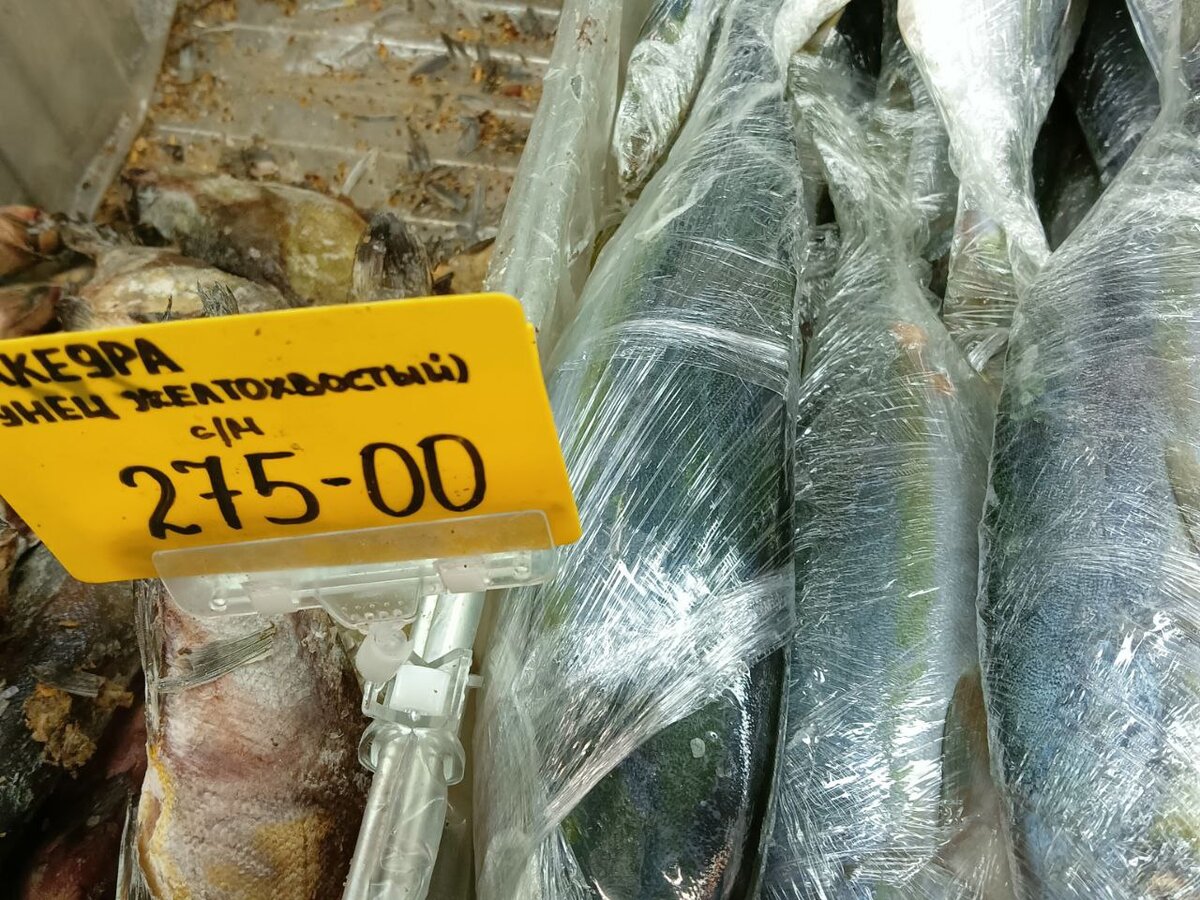 Лакедра или желтохвостый тунец  275 р за кг