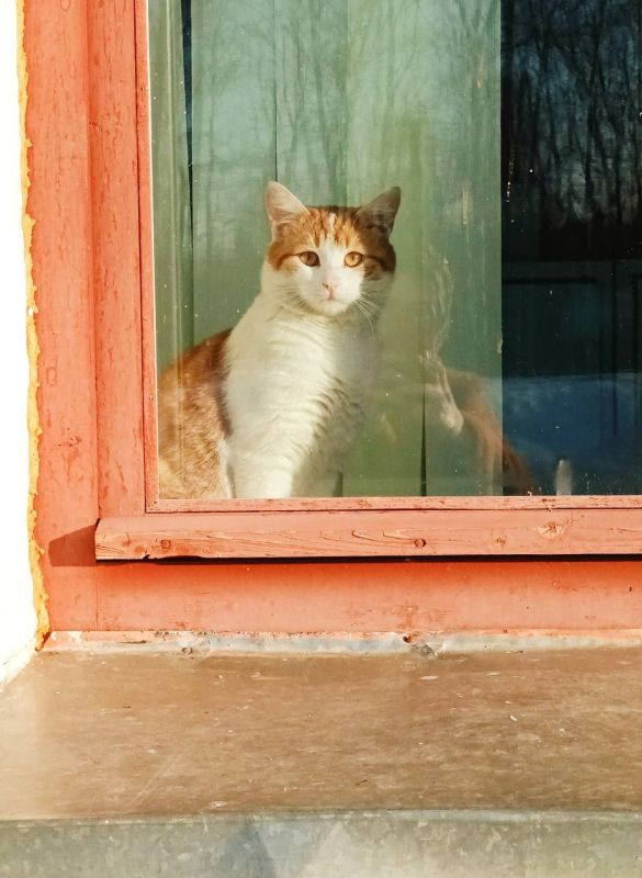 фото https://t.me/s/tvernewsru