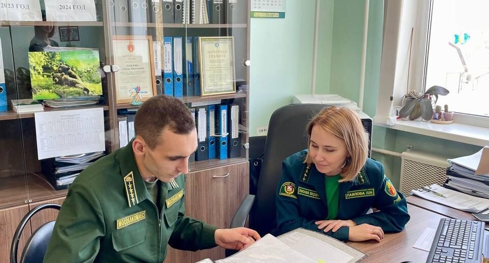    Комитет лесного хозяйства МО