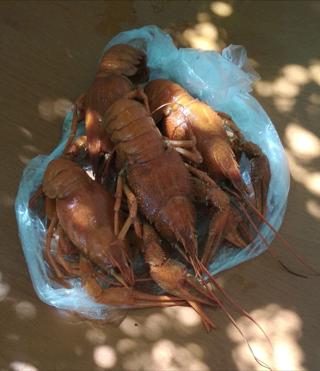 Автор сидит в Анапе и ест раков 2018 г