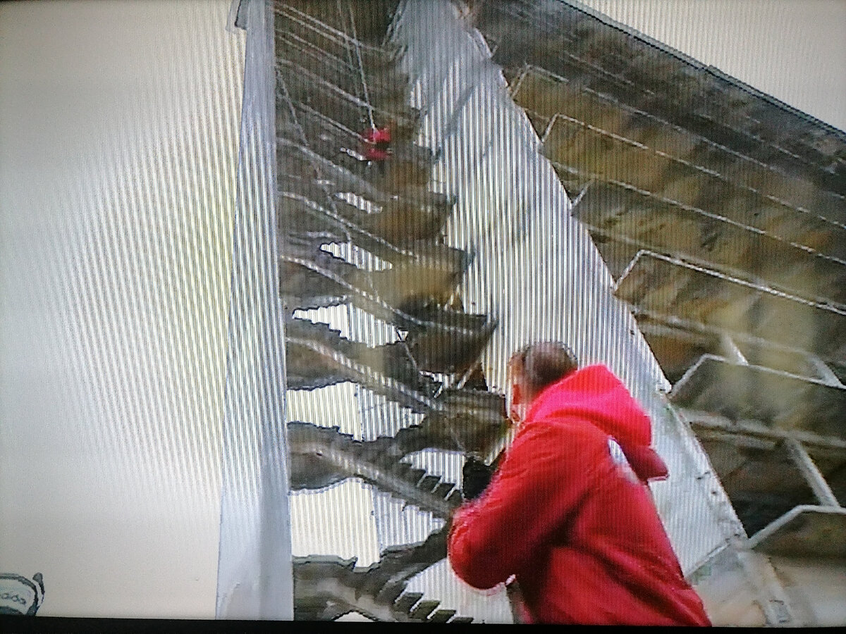 камуфляж и шпионаж (2019). виживалити миссия альфа учасники. выживалити миссия альф. выживалити миссия альф. битва каверов лого.