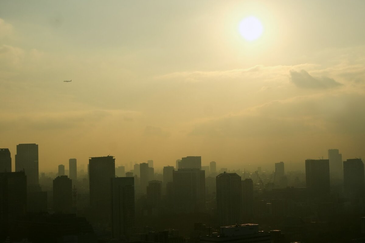 Откуда берется городской смог и как от него защититься