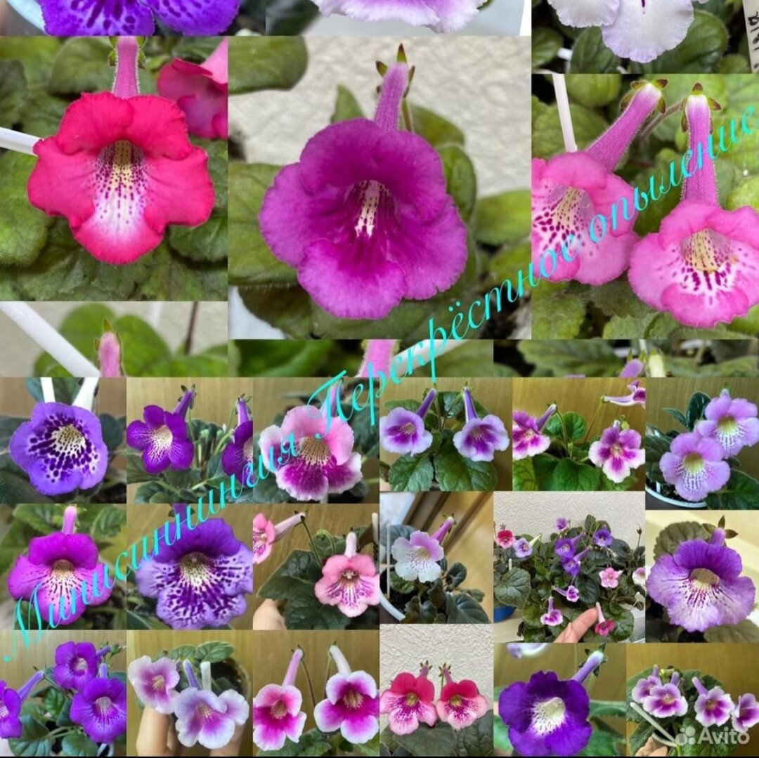 Фото с сайта продавца