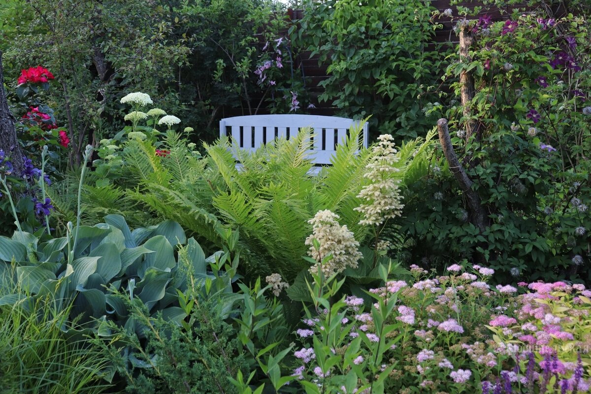 1. Фото: Елена Родительская