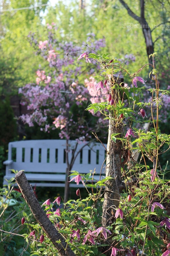 2. Фото: Елена Родительская