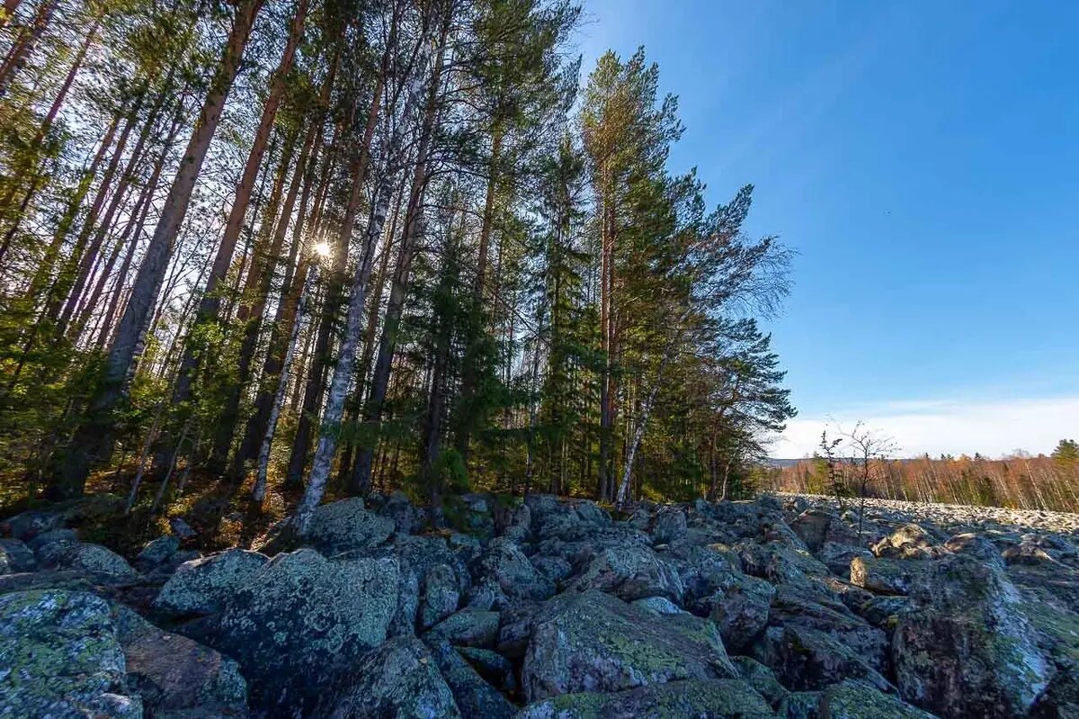 Фото:Андрей Ткаченко