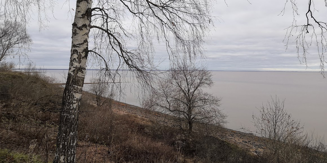 Там, где стоял царский трон. Коростынь