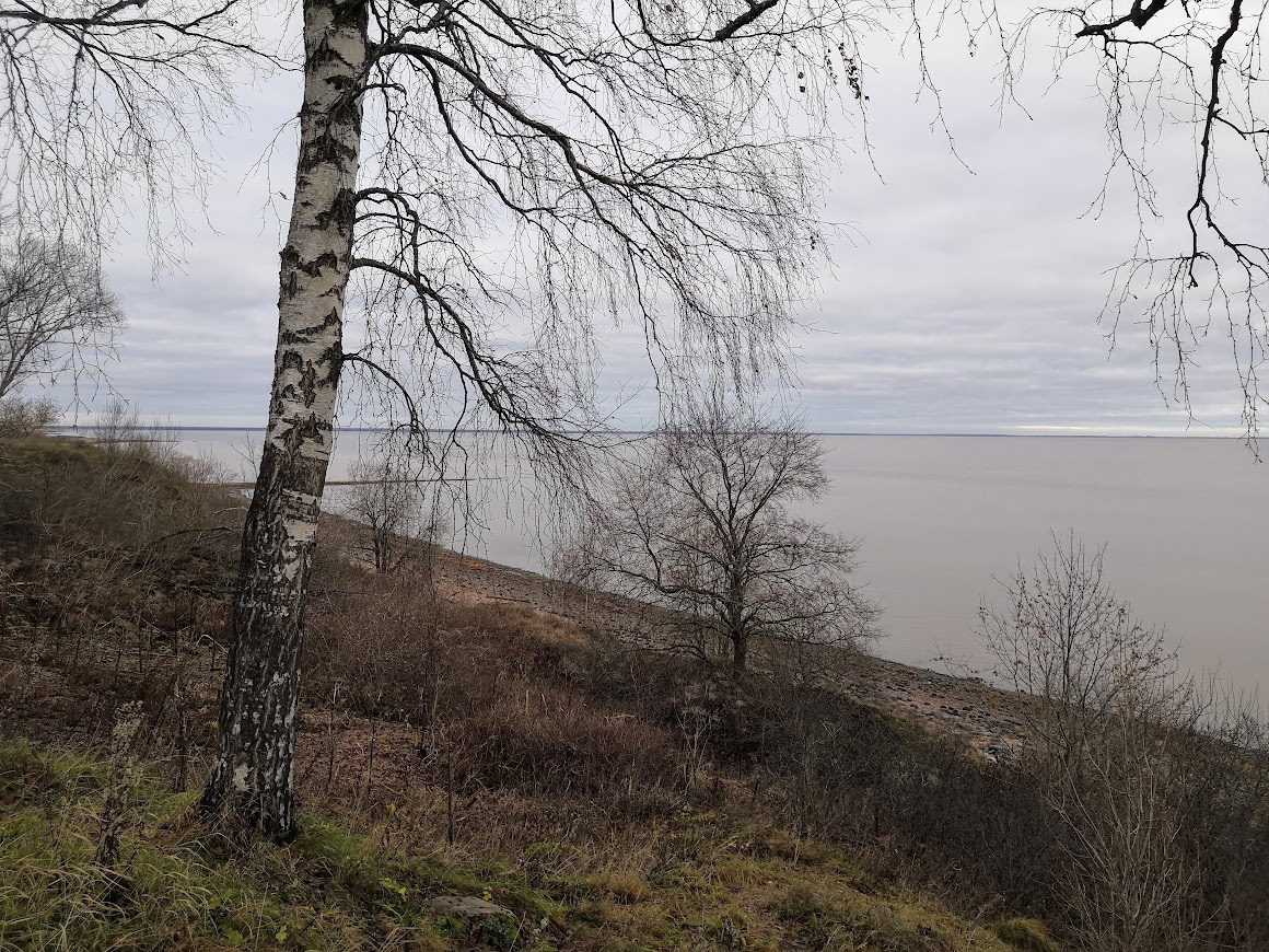 Берег озера Ильмень
