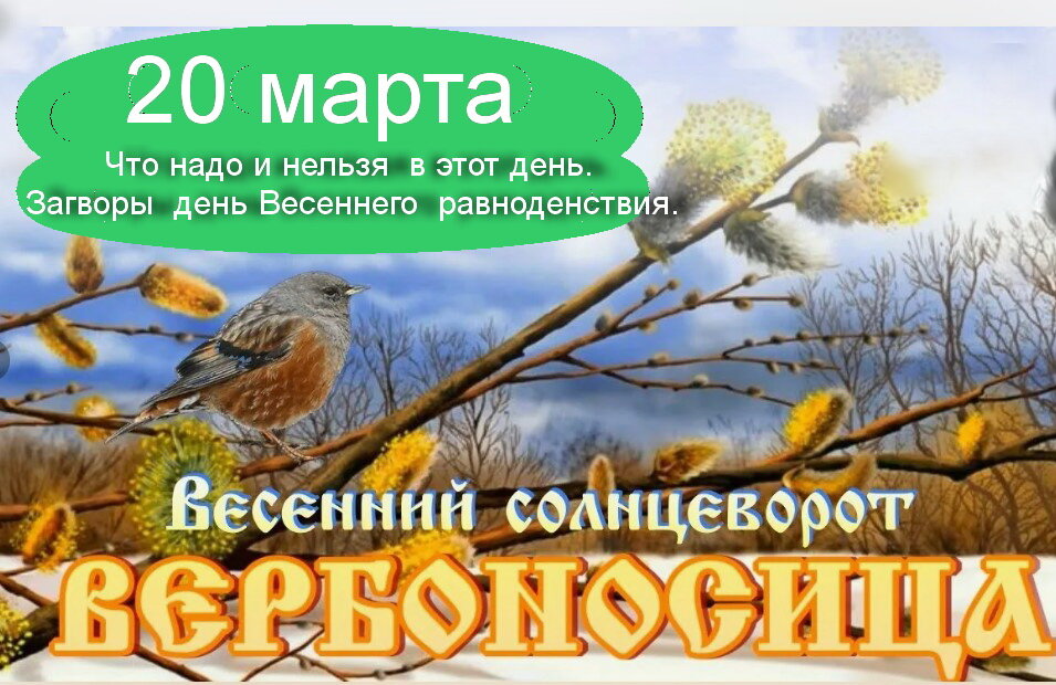 Источник : Яндекс  картинки.