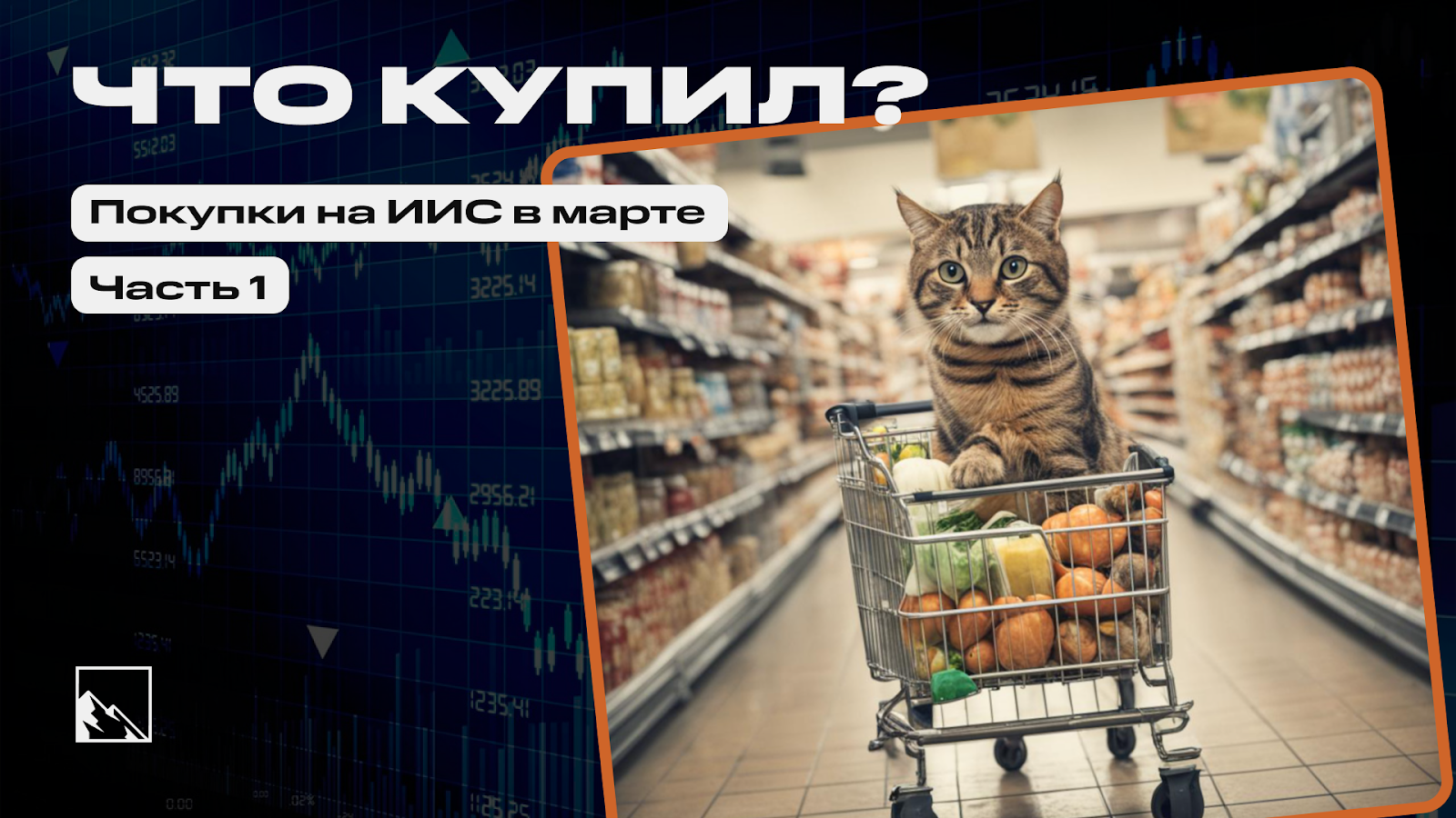 Пополнил ИИС на 200 000 в марте. Что купил?