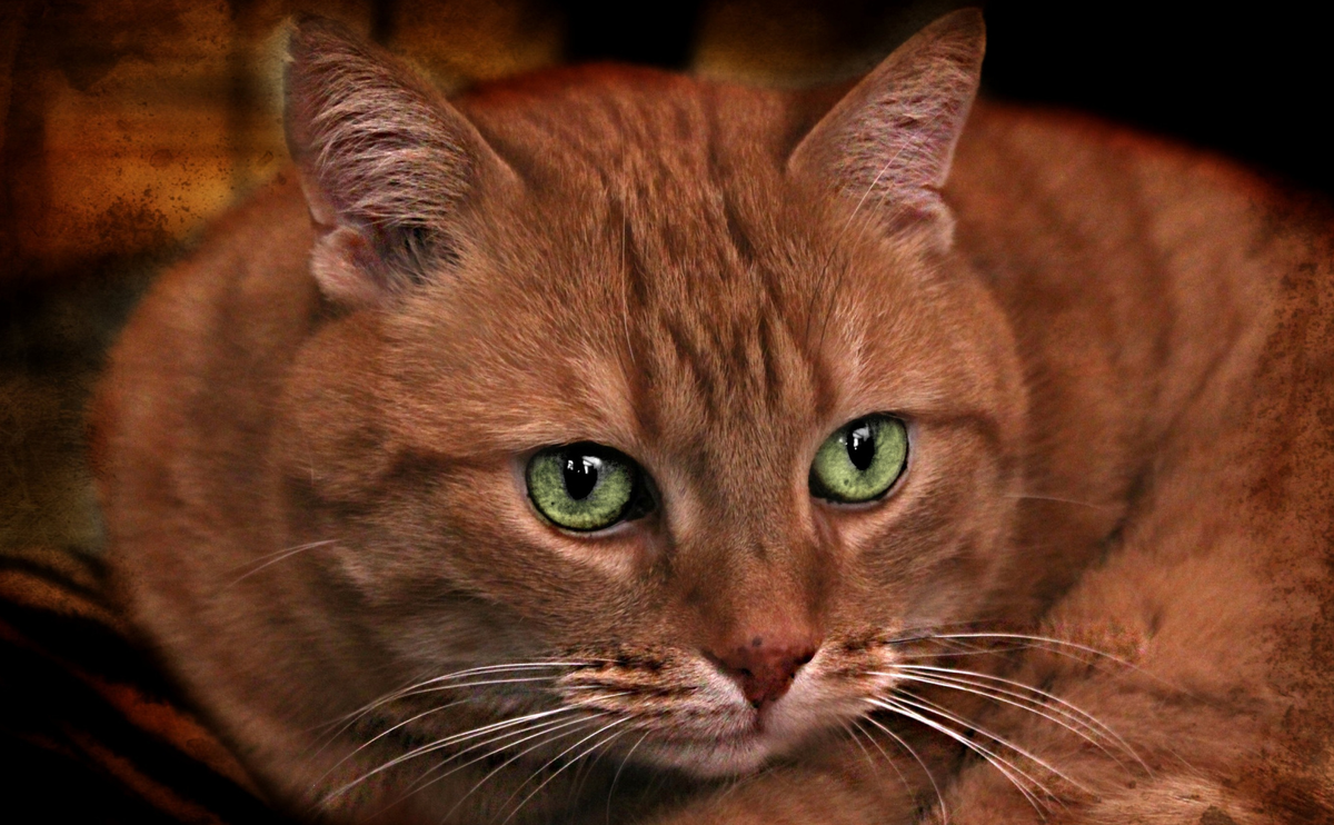 Источник: https://clck.ru/39X4nW