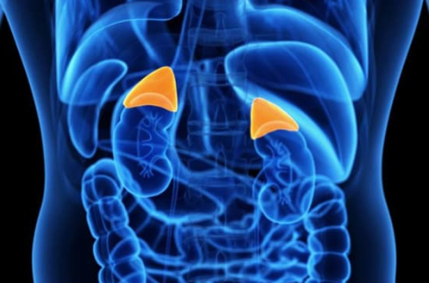 Изображение от Freepik