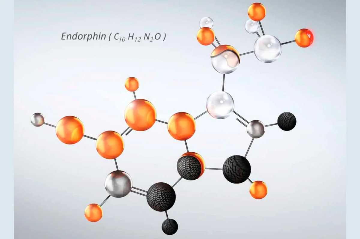 Плохое настроение? Вам нужен гормон эндорфин: как повысить в организме  мужчины и женщины? | О здоровье: с медицинского на русский | Дзен
