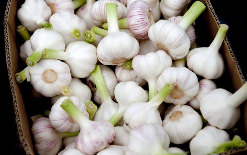 Изображение от Freepik