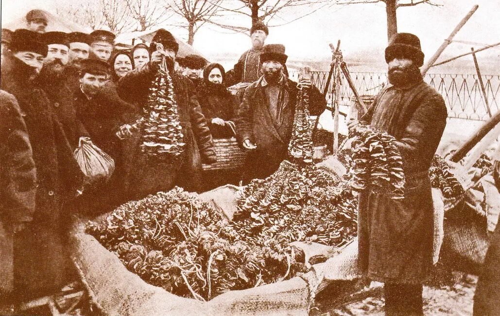 Грибной рынок