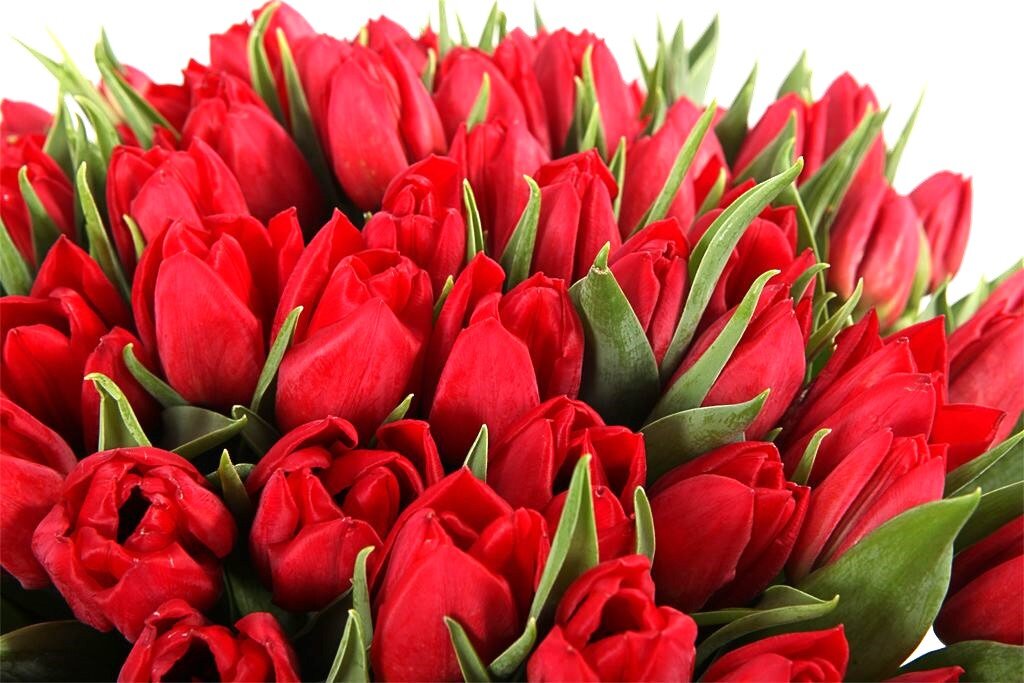 Фото из свободных источников