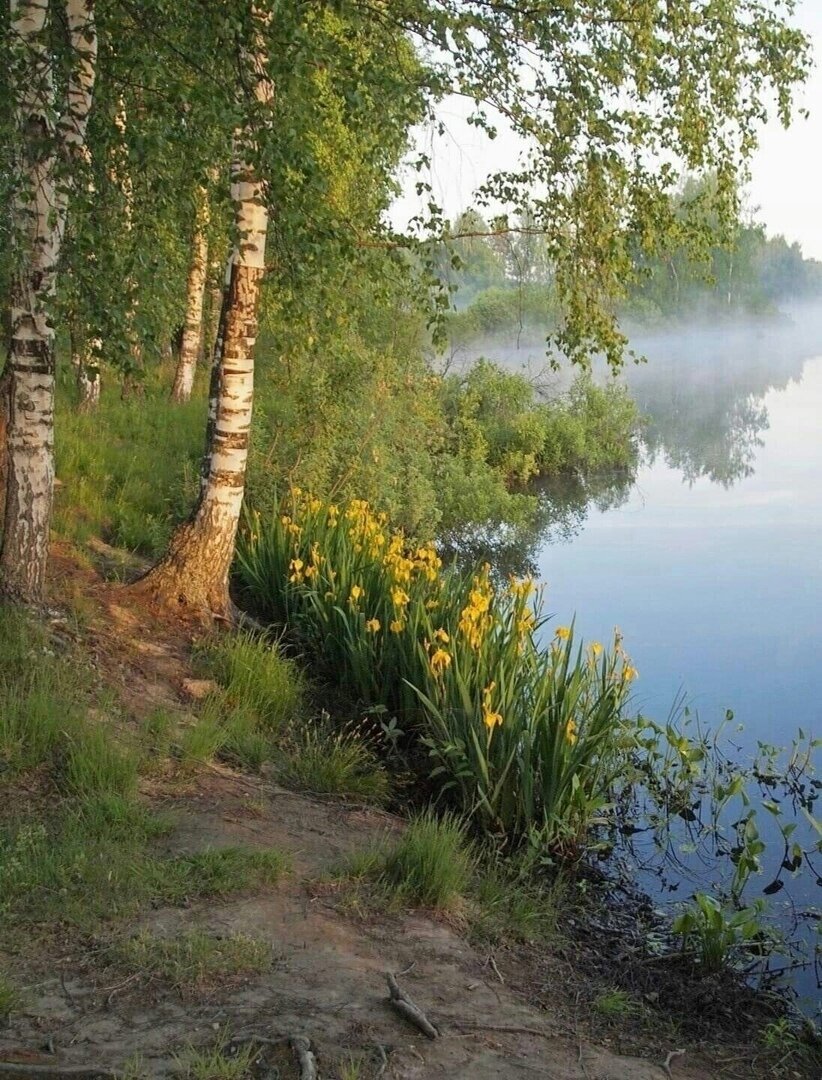 Фотограф Владимир Побединский.