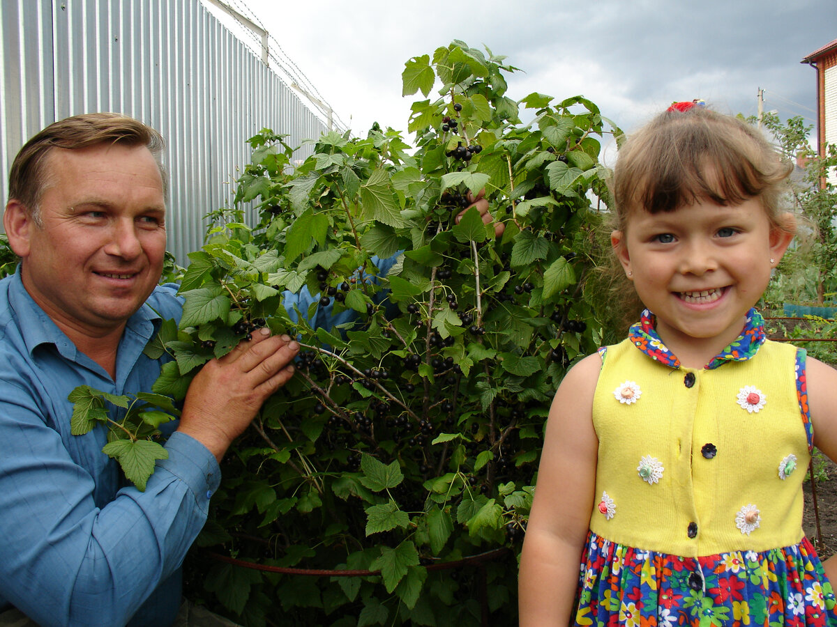 Дети всегда урашение сада.