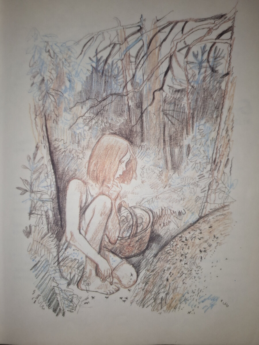 Иллюстрация из книги