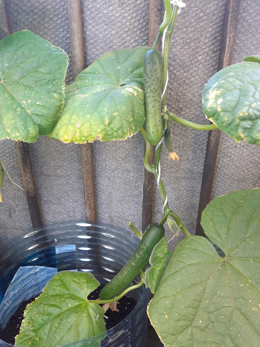 Фото из личного архива