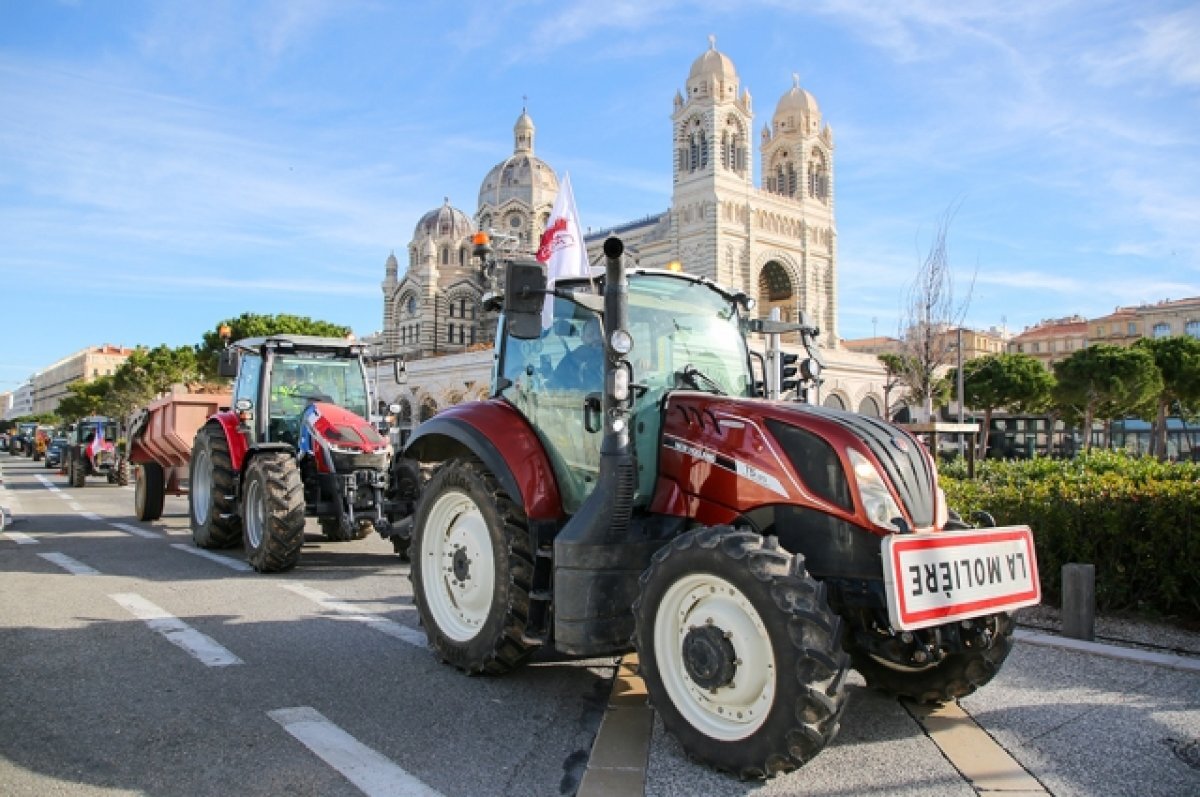    Франция поддержала призыв ограничить ввоз сельхозпродукции с Украины
