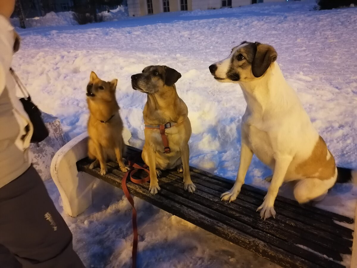 Фото автора