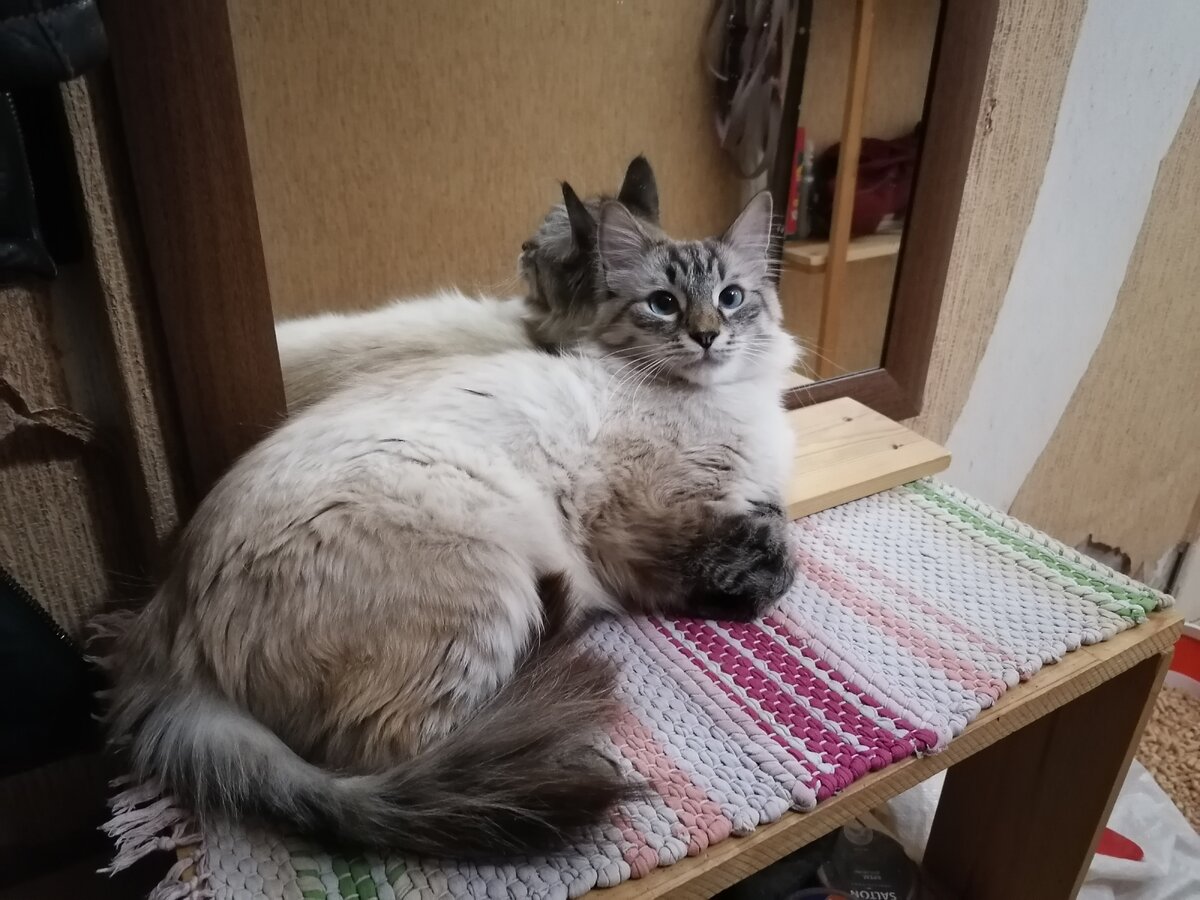 Фото автора