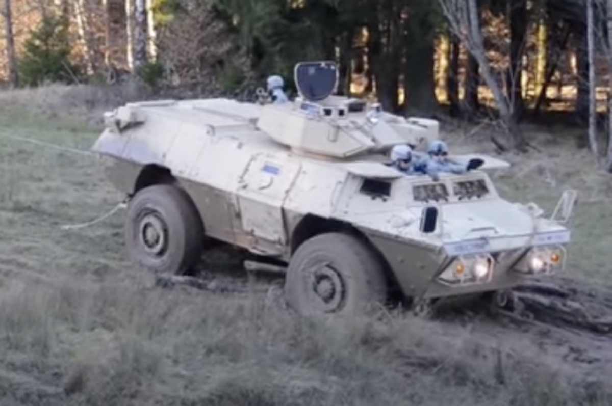    Скелет из штатов.