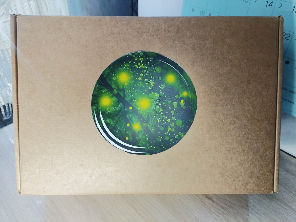 Фото из личного архива автора статьи