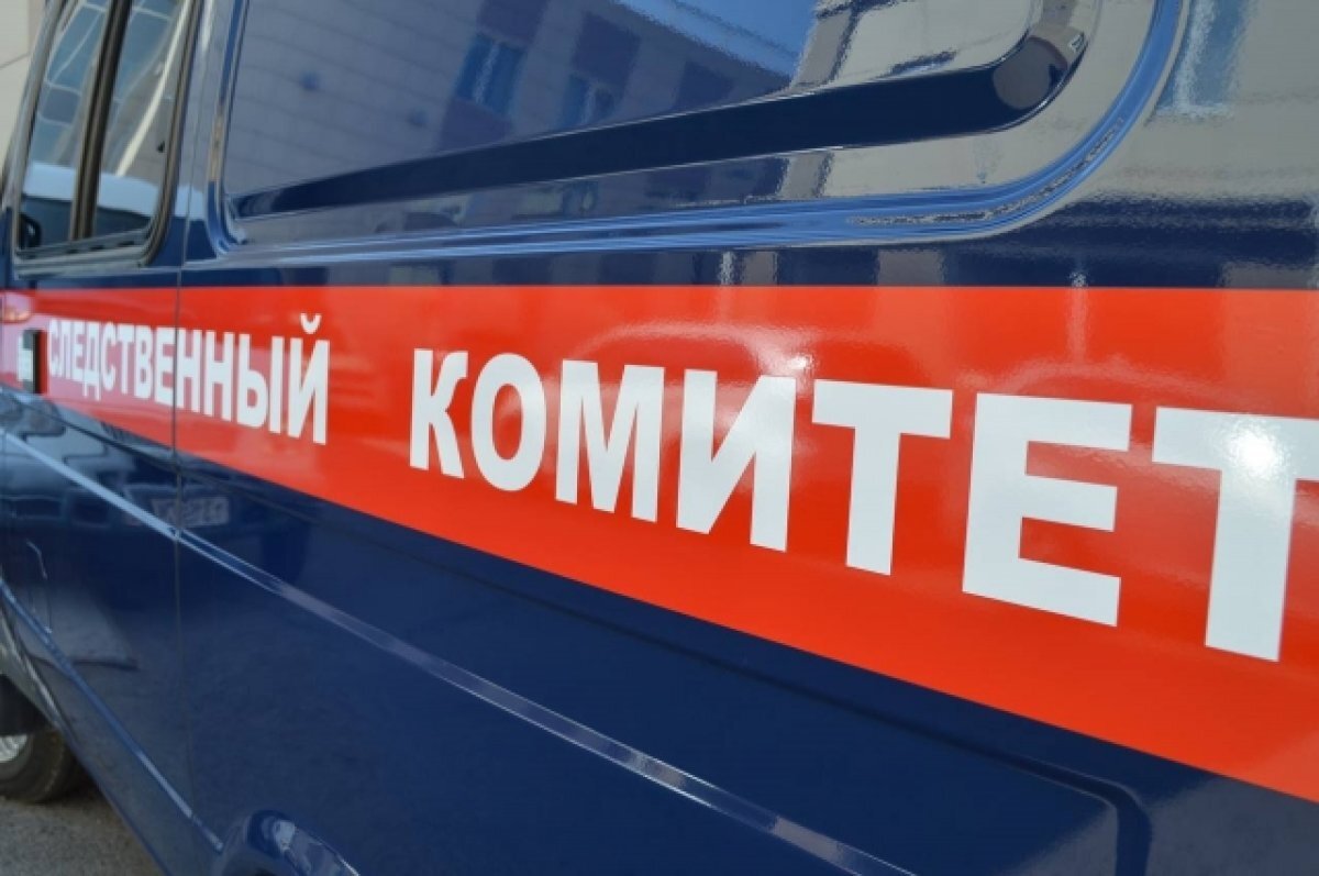    В Лесосибирске возбудили уголовное дело из-за травмы ребёнка в детском саду