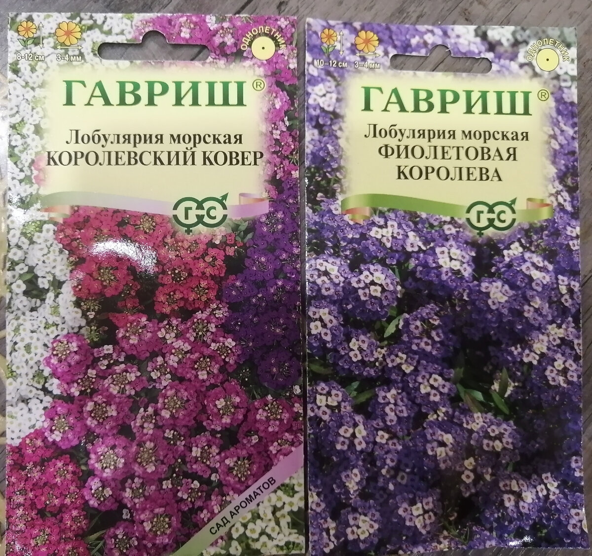 Лобулярия или алиссум. 