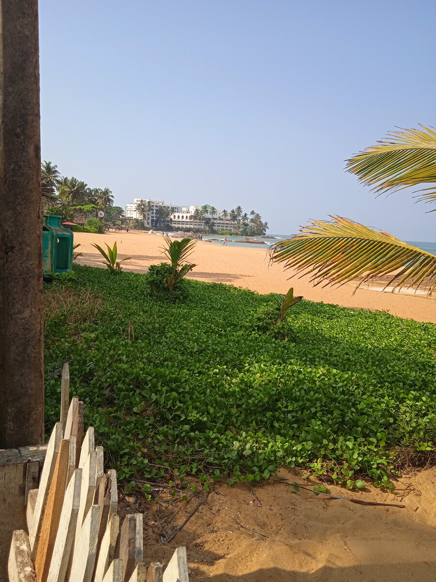 Mount Lavinia hotel