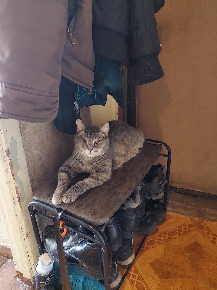 Котенька