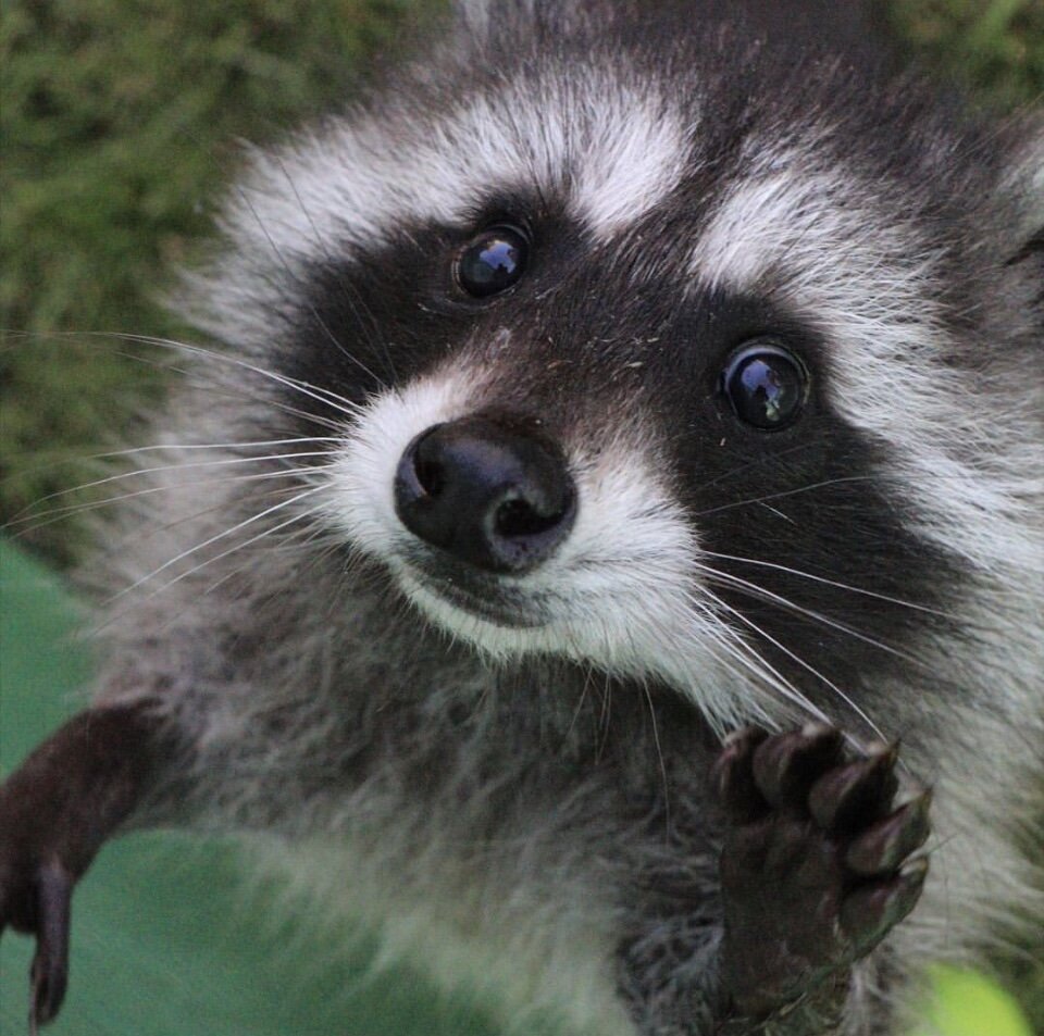 Привет от Маруси.