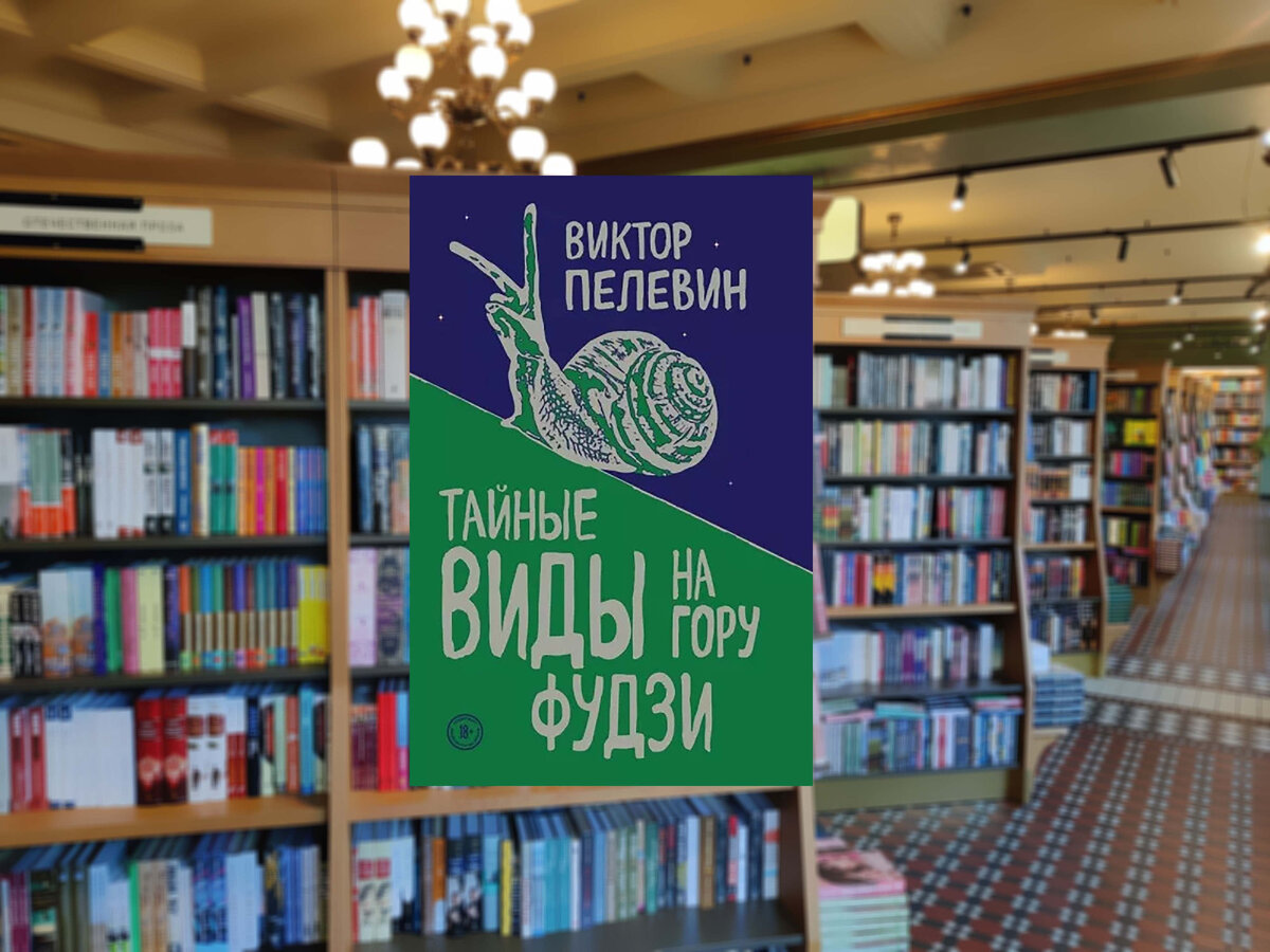 Фото обложки книги с сайта:https://www.labirint.ru/