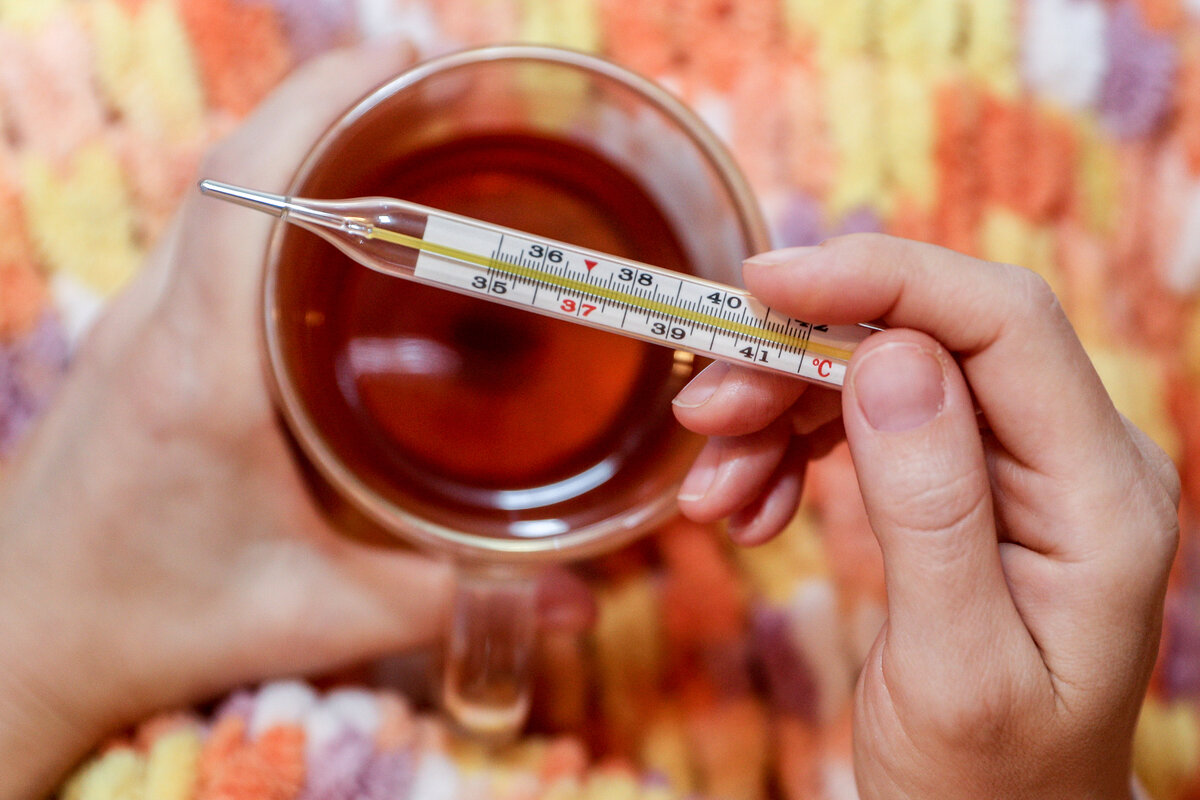 Фото: Bulkin Sergey/Globallookpress 