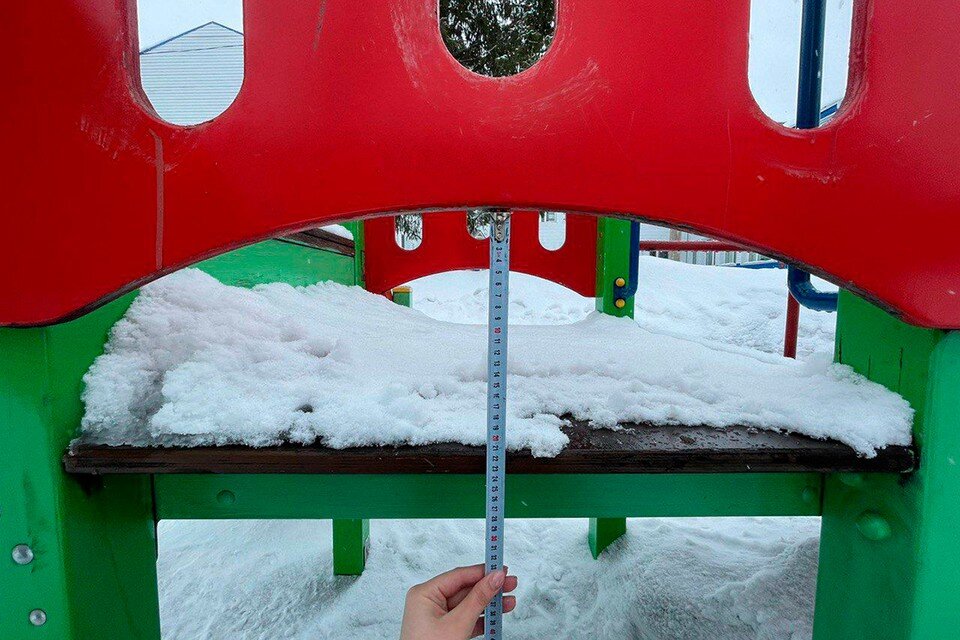    Фото: СК по Красноярскому краю