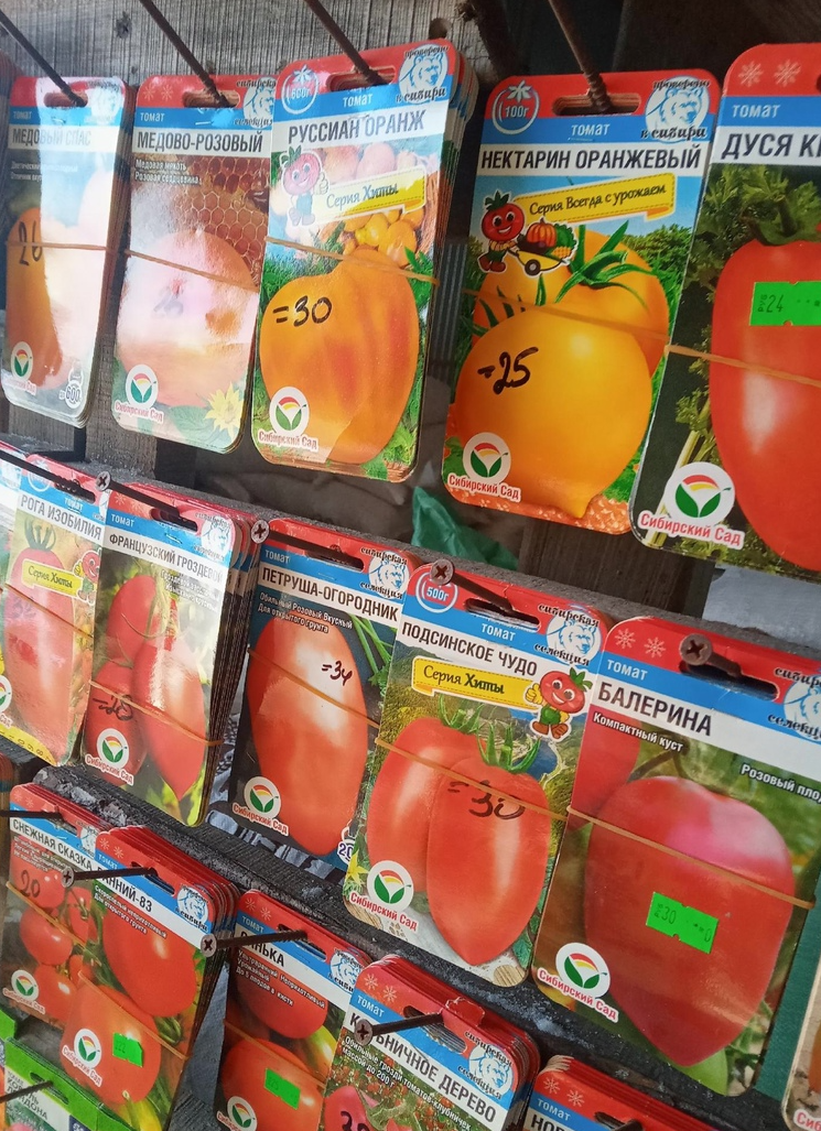 семена томатов огурцов реклама. 94 г астрахань уборка помидор. упрости выражение учи ру. аня купила 6 огурцов и баклажан. учи ру.