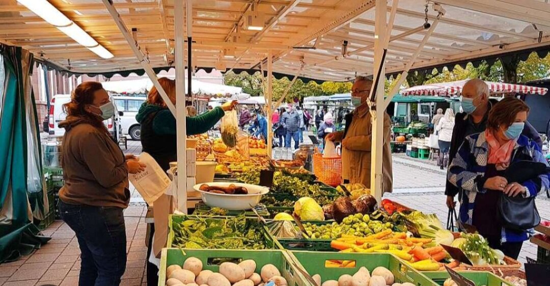 Фото из открытого источника. 